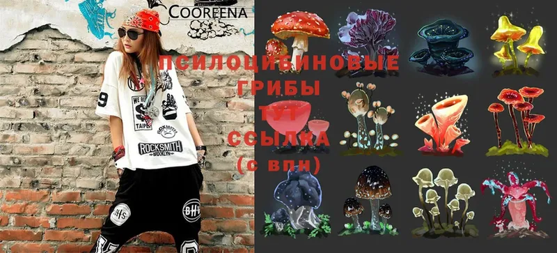 darknet какой сайт  Лянтор  Галлюциногенные грибы MAGIC MUSHROOMS  МЕГА маркетплейс 